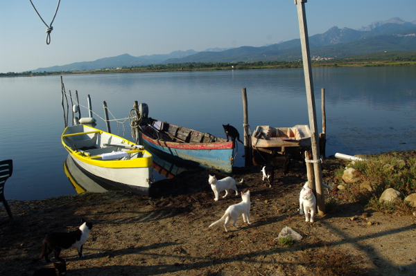 Visite de l'étang de Palu le 05 février à Ventiseri Visite de l'étang de Palu le 05 février à Ventiseri