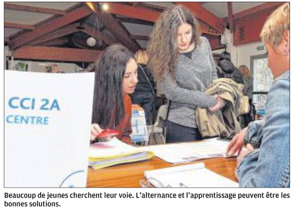 Alternance et apprentissage : autres tremplins vers l'emploi