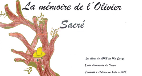La mémoire de l'olivier sacré