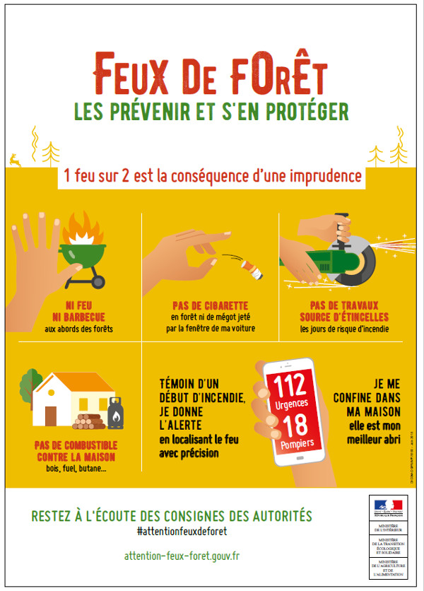 Feux de Forêt