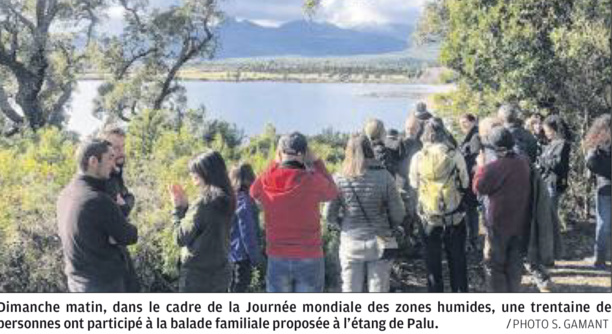 Zones humides : l’étang de Palu séduit toujours Zones humides : l’étang de Palu séduit toujours