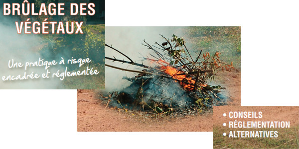 Brûlage des végétaux