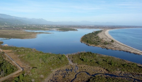 L'étang de Palo L'étang de Palo