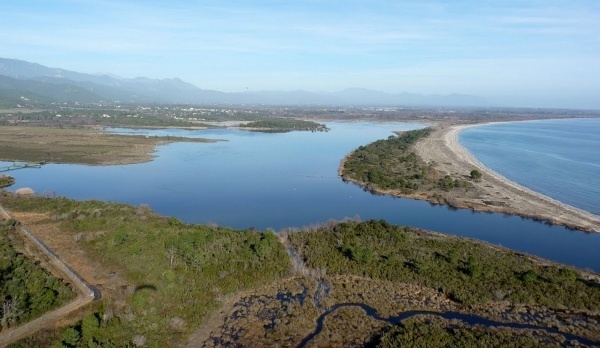 L'étang de Palo