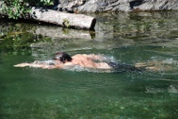 Qualité des eaux de baignade 2013 Qualité des eaux de baignade 2013