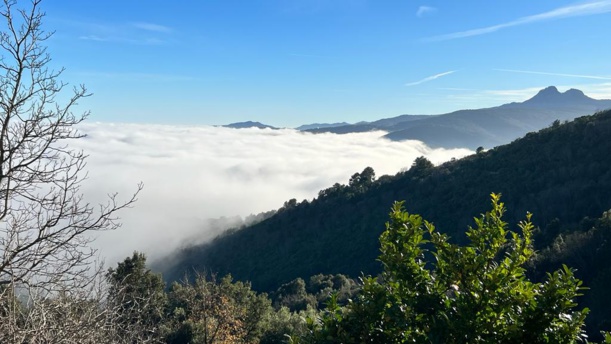 Cliquez sur l’image pour agrandir Cliquez sur l’image pour agrandir