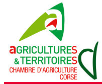 Lutte contre le cynips du châtaignier Lutte contre le cynips du châtaignier