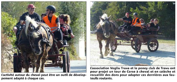 Au Poney club, la passion de l'équitation en partage