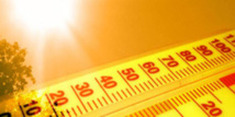 Plan canicule