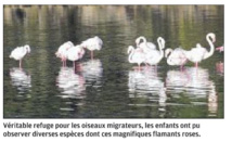 A la découverte de l'étang de Palu pour les écoliers de Travu A la découverte de l'étang de Palu pour les écoliers de Travu