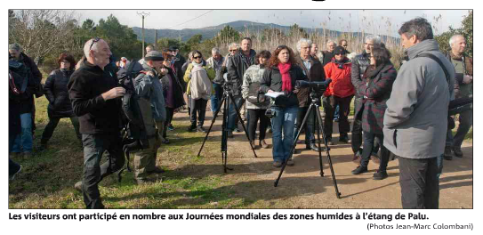 Vif succès des Journées mondiales des zones humides à l'étang de Palu
