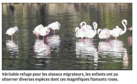 A la découverte de l'étang de Palu pour les écoliers de Travu A la découverte de l'étang de Palu pour les écoliers de Travu