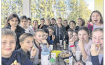 De l'arbre à l'assiette, l'olive n'a plus de secrets pour les écoliers de Travu