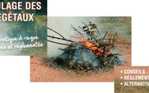 Brûlage des végétaux