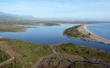 L'étang de Palo