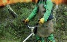 Débroussaillage légal