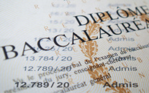 baccalauréat 2013