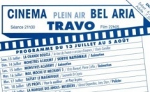 Programme du cinéma en plein air