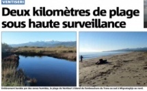 Deux kilomètres de plage sous haute surveillance
