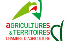Lutte contre le cynips du châtaignier
