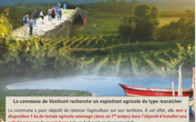 Appel à candidature installation en Maraîchage sur Sol Vivant (MSV)