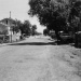 Travu1952_jpg