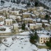 IMG_2107