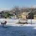 IMG_0652A