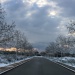 IMG_0655