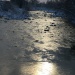 IMG_0685