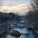 IMG_0687